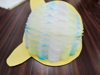DSCN2037.jpg