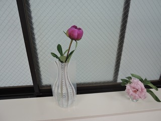 DSCN4261.jpg